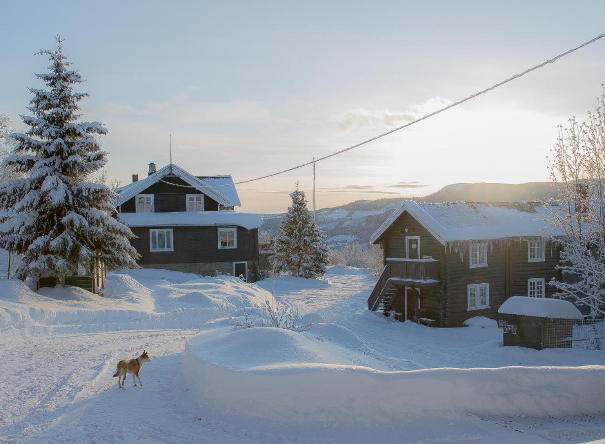 Отель Eikre Fjellgard Хемседал Экстерьер фото